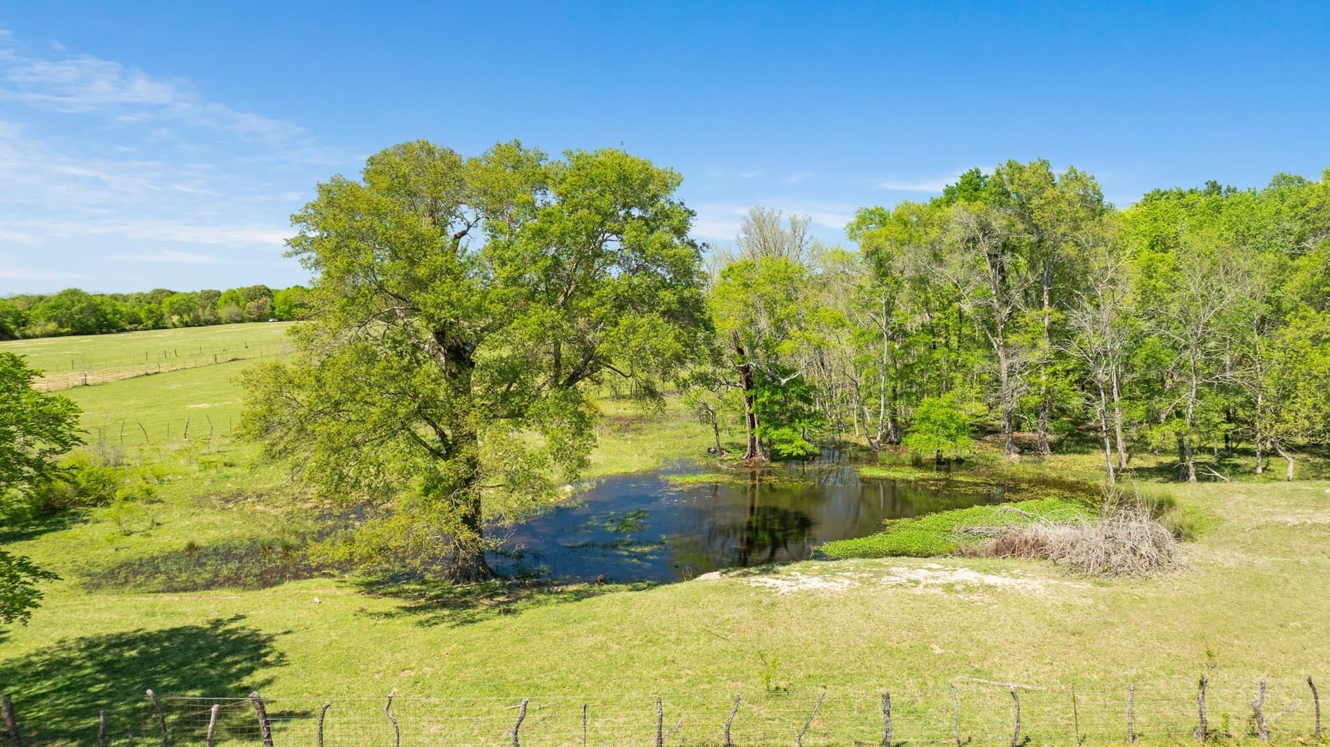 235 acres in Red River (TX) County - photo 24