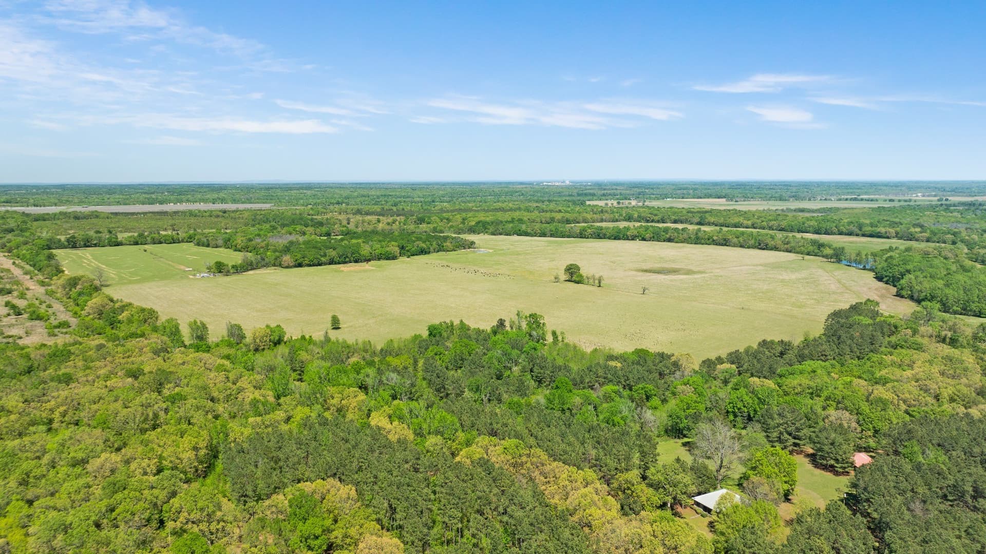 235 acres in Red River (TX) County - photo 5