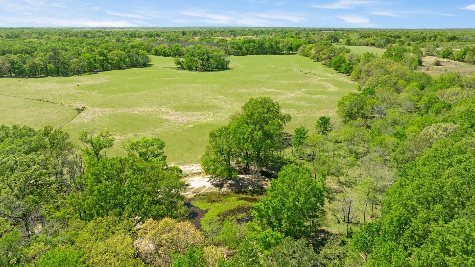 235 acres in Red River (TX) County - photo 12