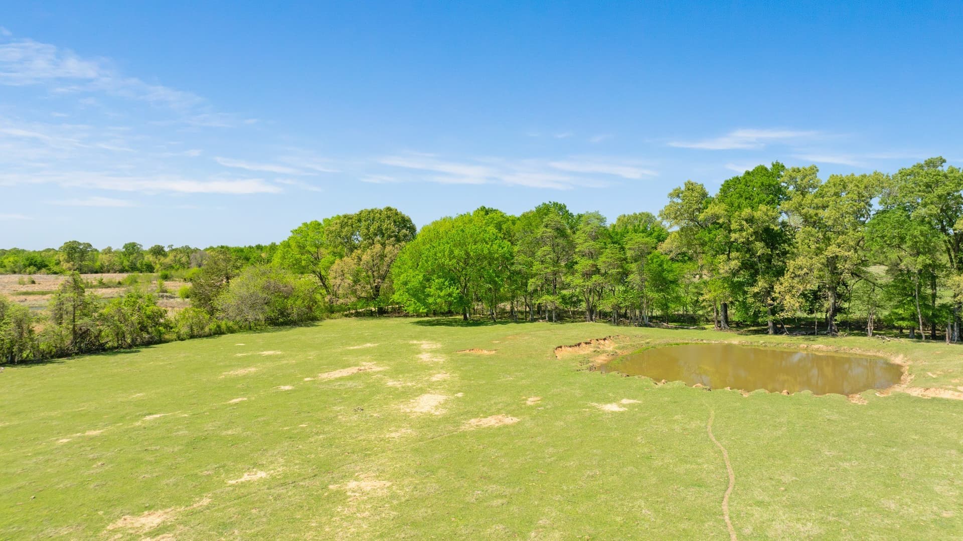 235 acres in Red River (TX) County - photo 19