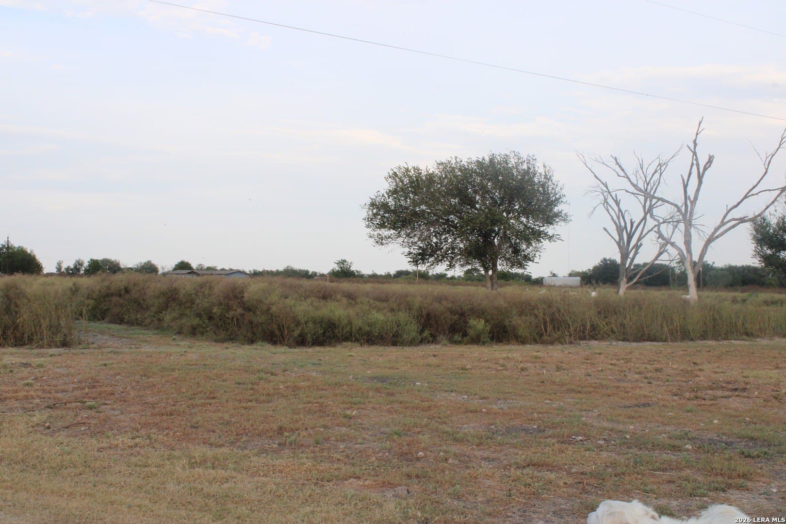 8.68 acres in Guadalupe County - photo 25