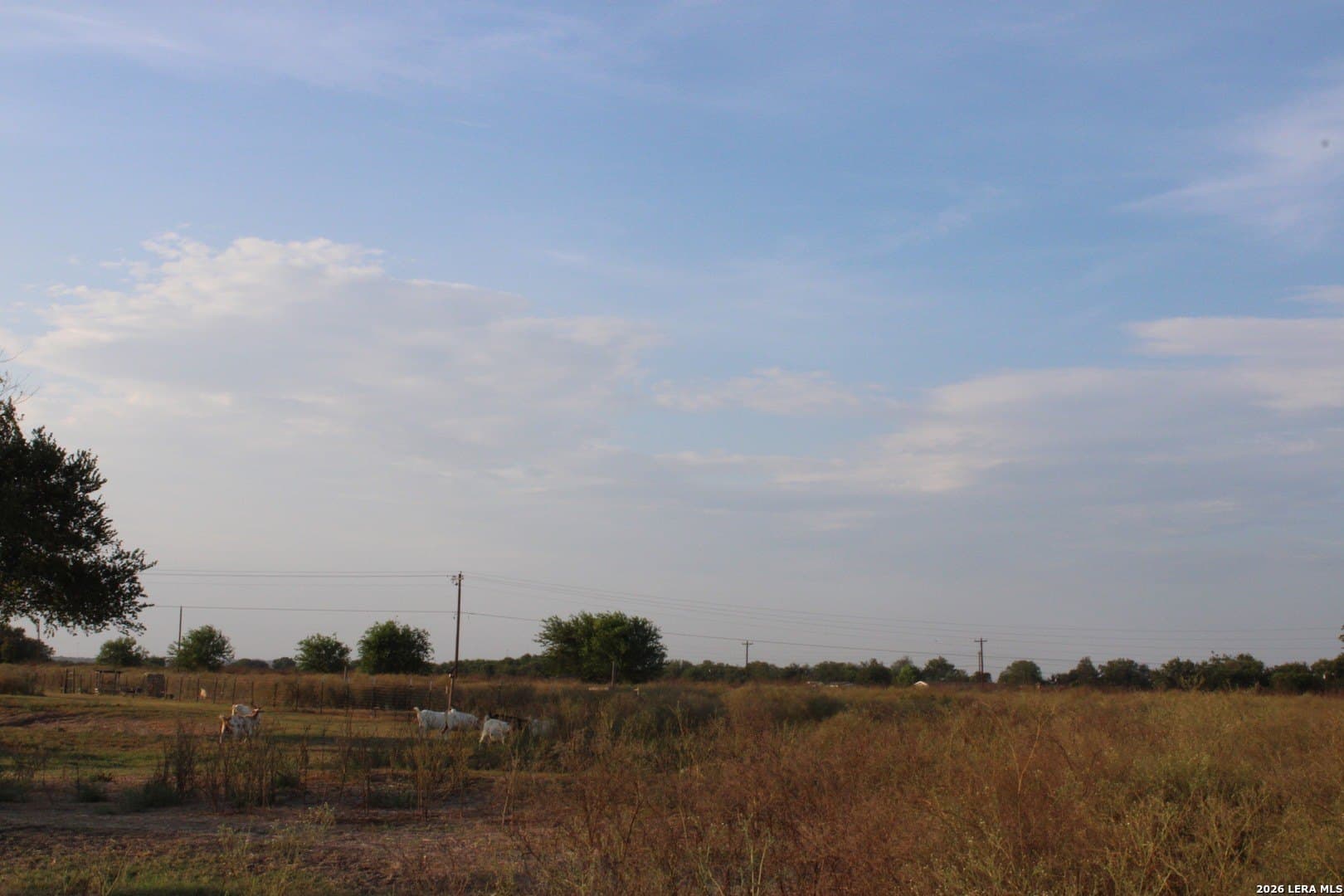 8.68 acres in Guadalupe County - photo 44