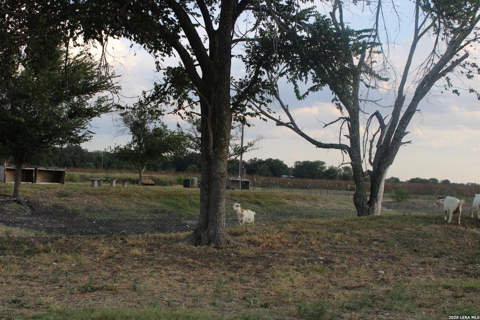 8.68 acres in Guadalupe County - photo 38