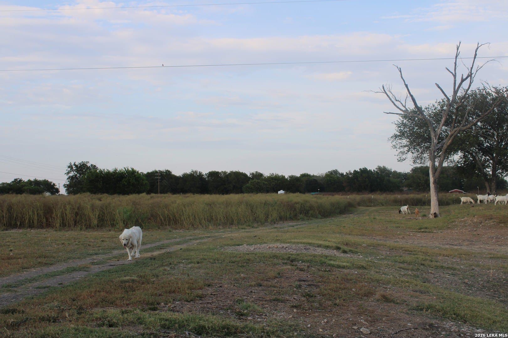 8.68 acres in Guadalupe County - photo 31
