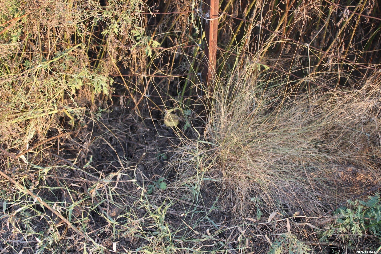 8.68 acres in Guadalupe County - photo 17