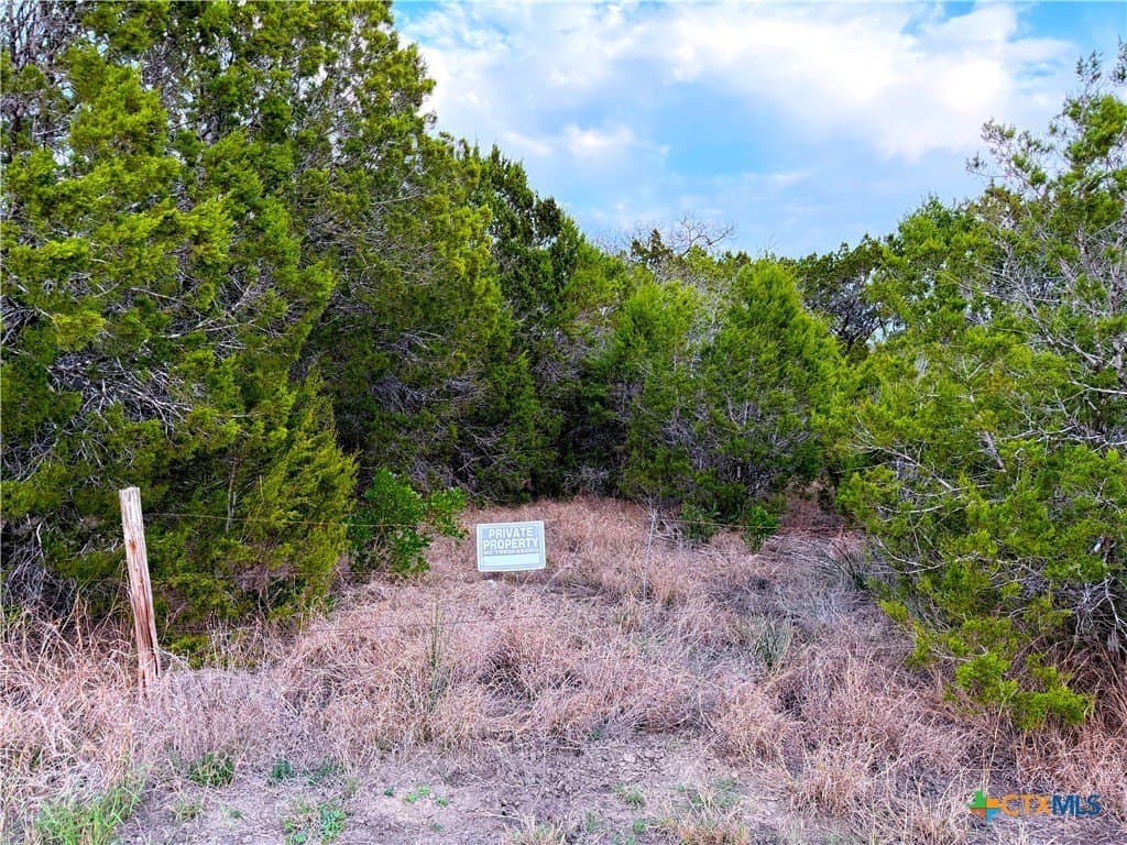 23.87 acres in Comal County - photo 20