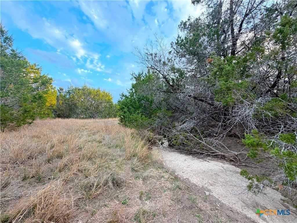 23.87 acres in Comal County - photo 24