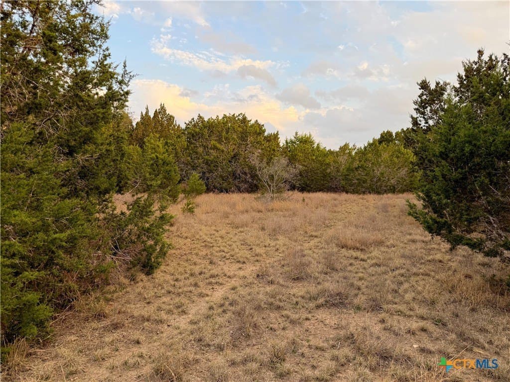23.87 acres in Comal County - photo 27