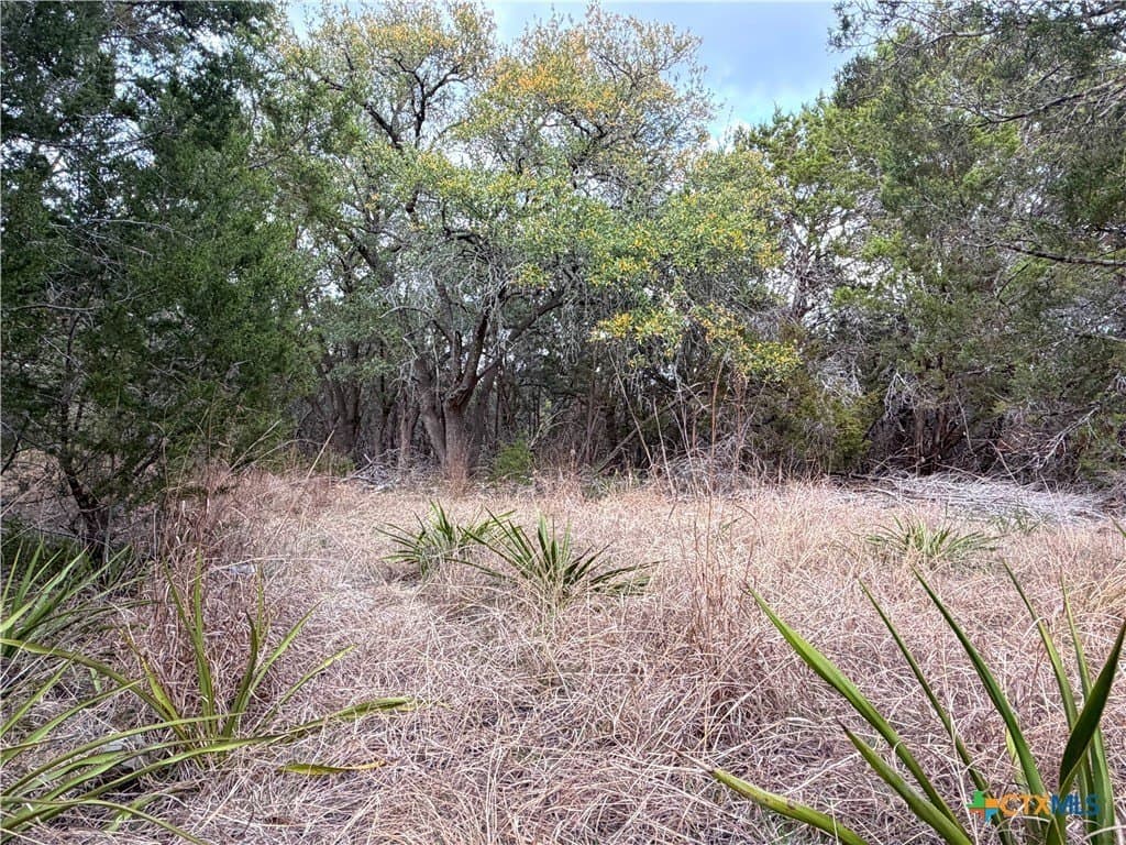23.87 acres in Comal County - photo 22