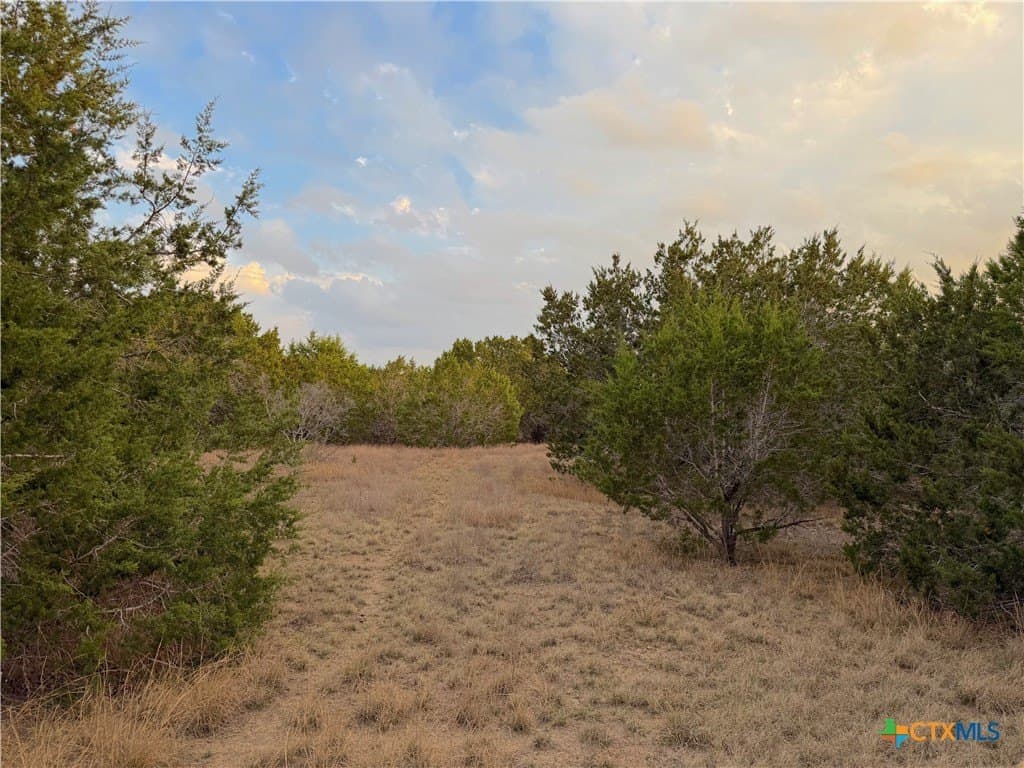 23.87 acres in Comal County - photo 26