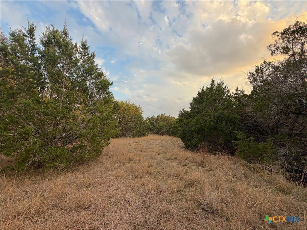 23.87 acres in Comal County - photo 25