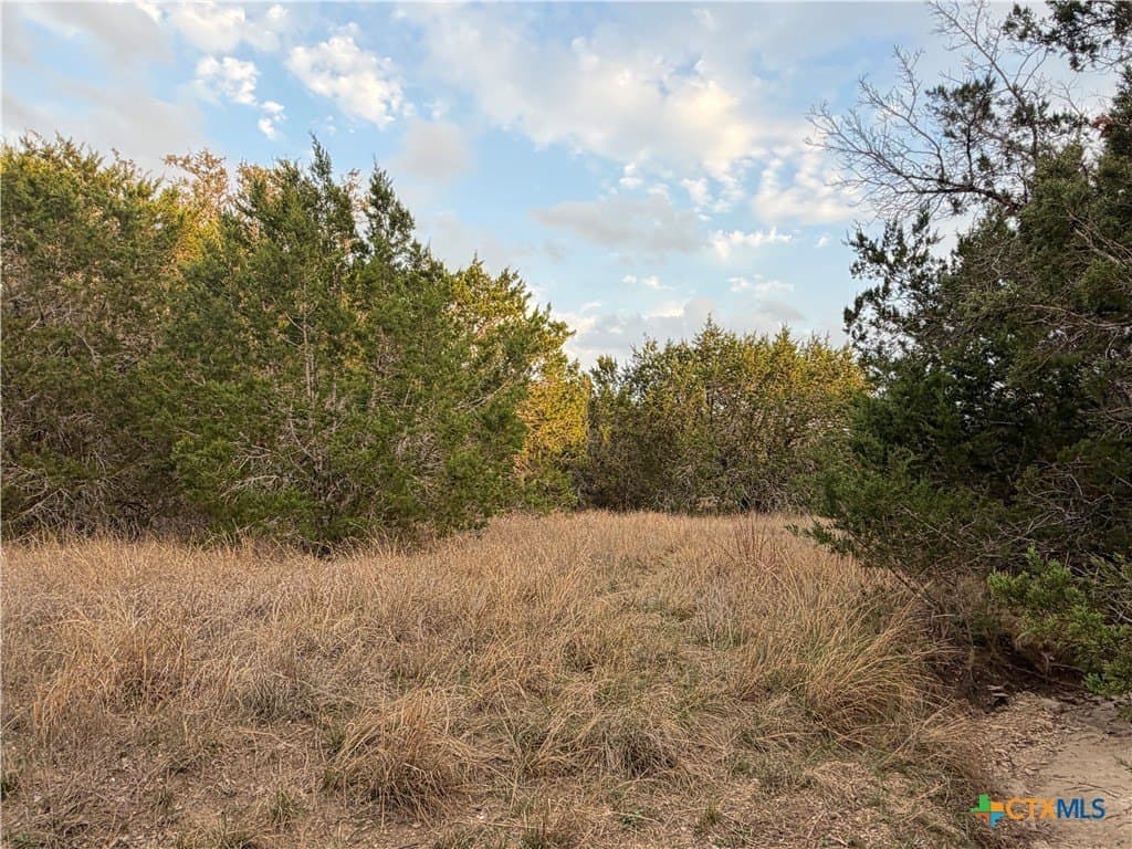 23.87 acres in Comal County - photo 23