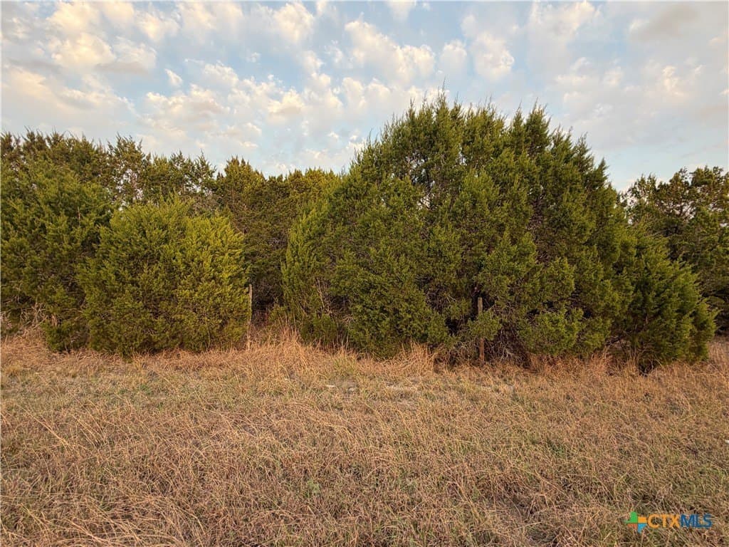 23.87 acres in Comal County - photo 28