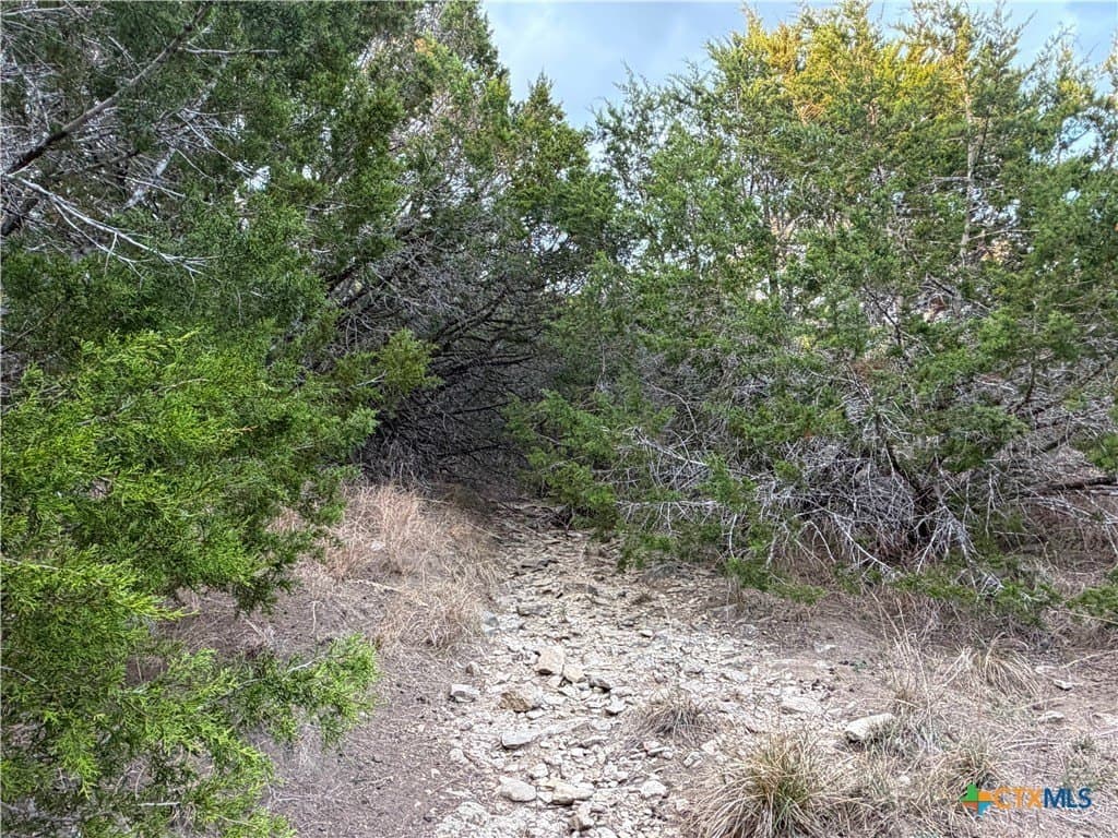 23.87 acres in Comal County - photo 7