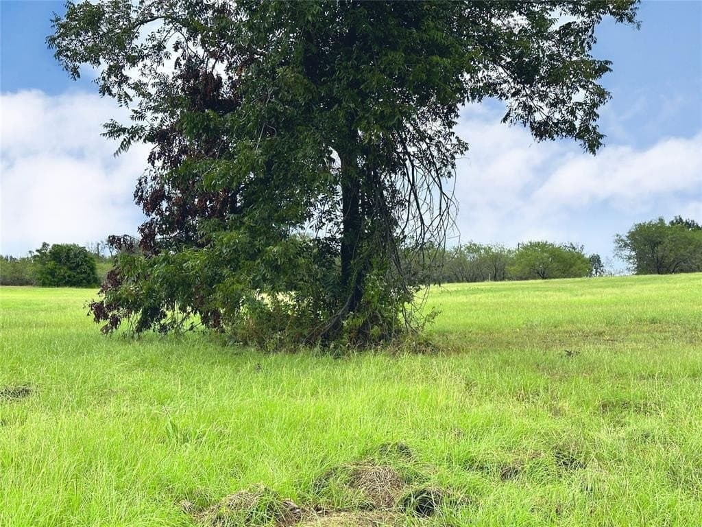 1.12 acres in Navarro County gallery image 4