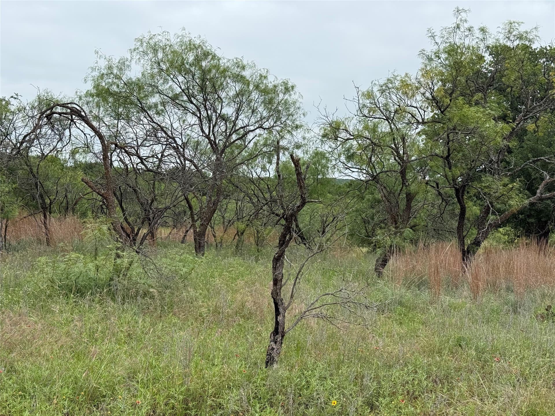 1.34 acres in Wise County - photo 10