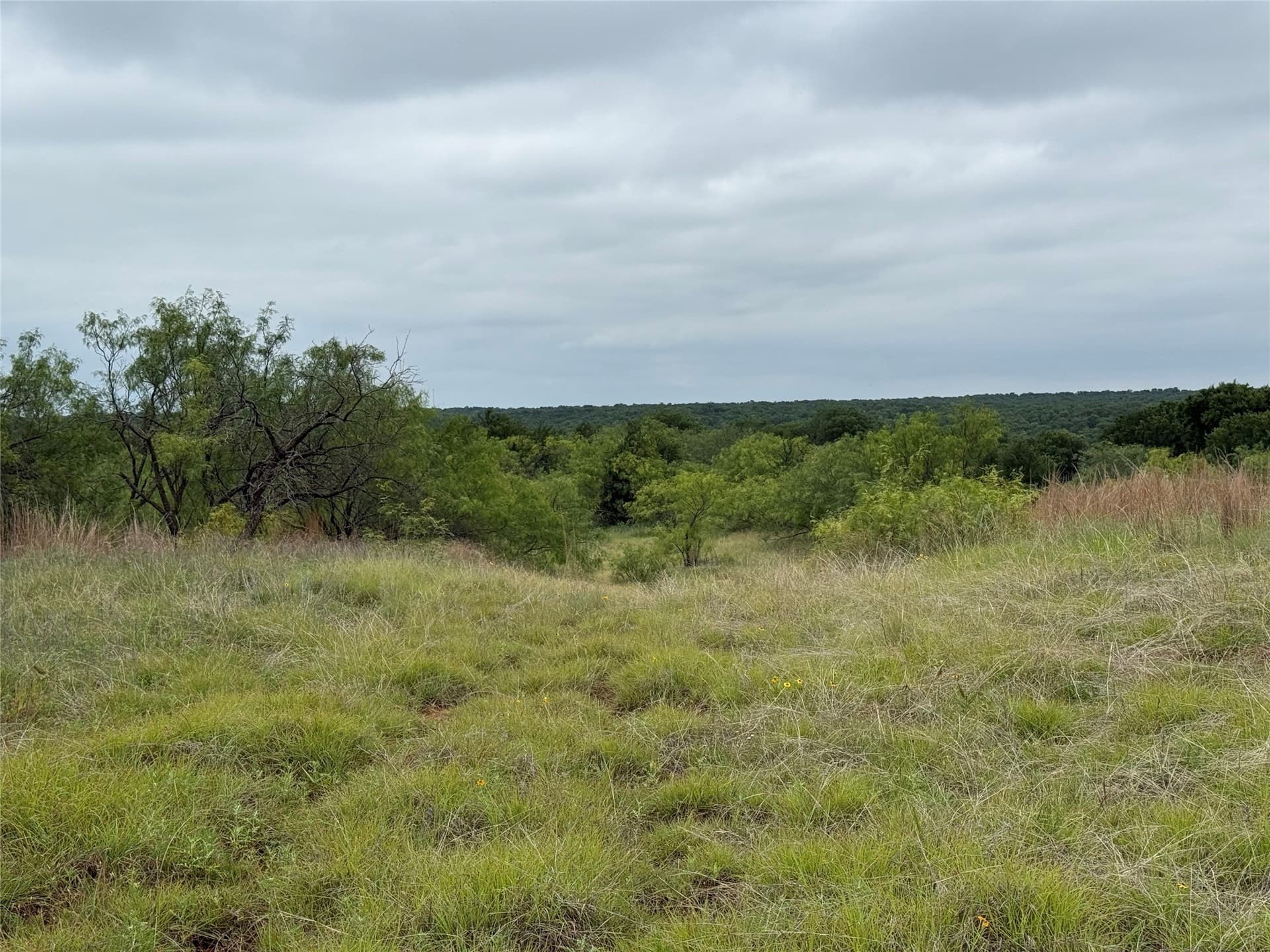 1.34 acres in Wise County - photo 9