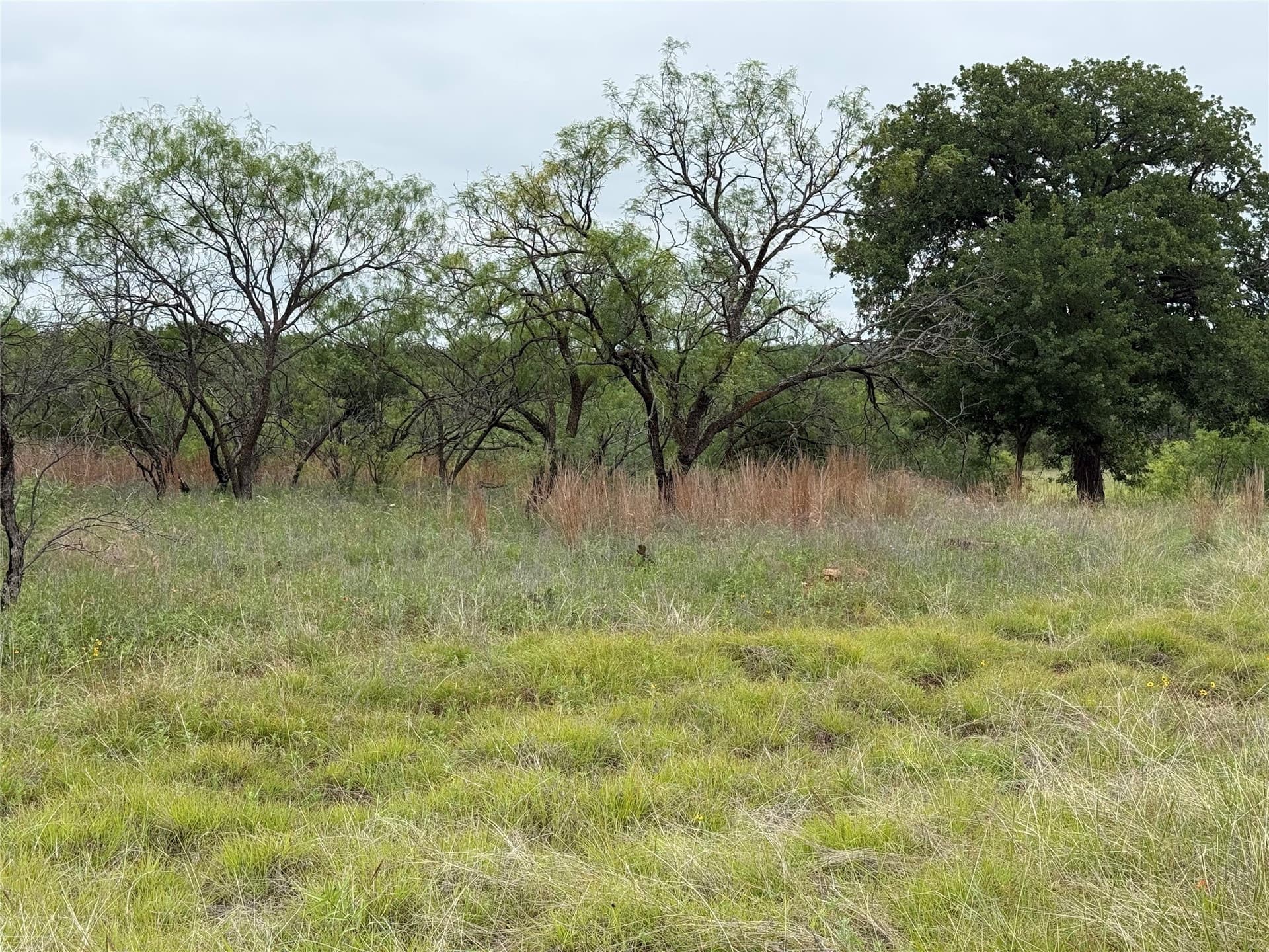 1.34 acres in Wise County - photo 8