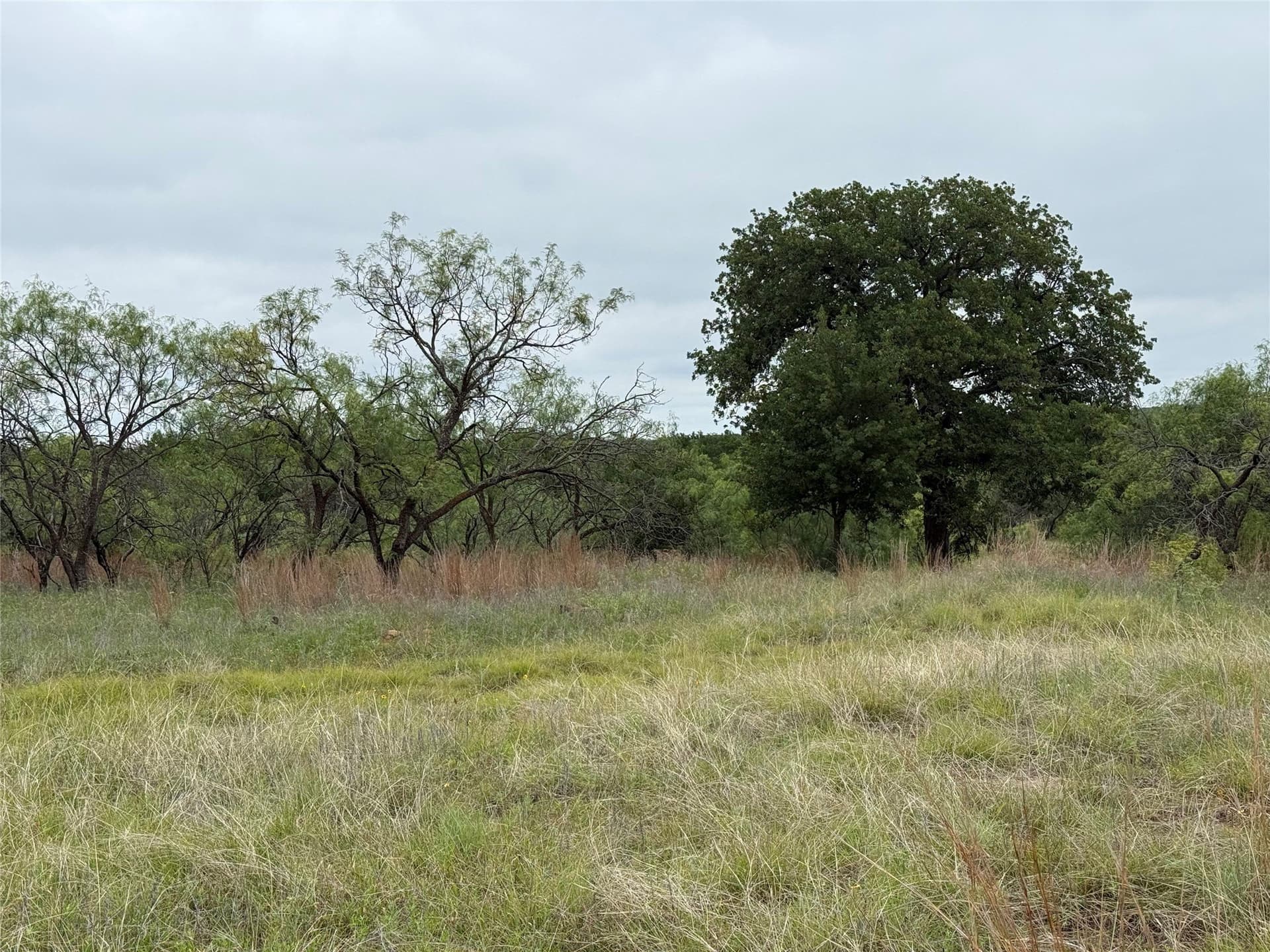 1.34 acres in Wise County gallery image 2