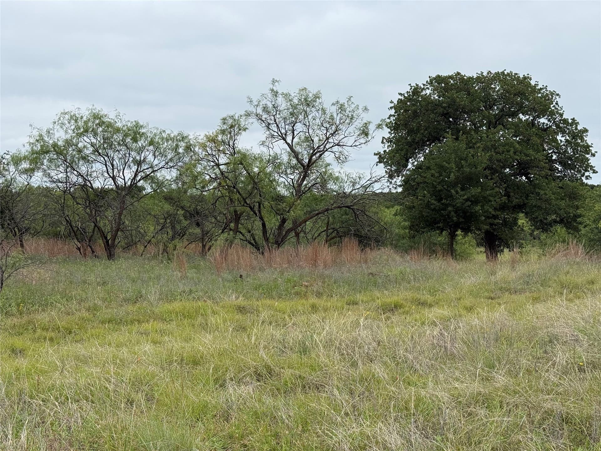 1.34 acres in Wise County - photo 7
