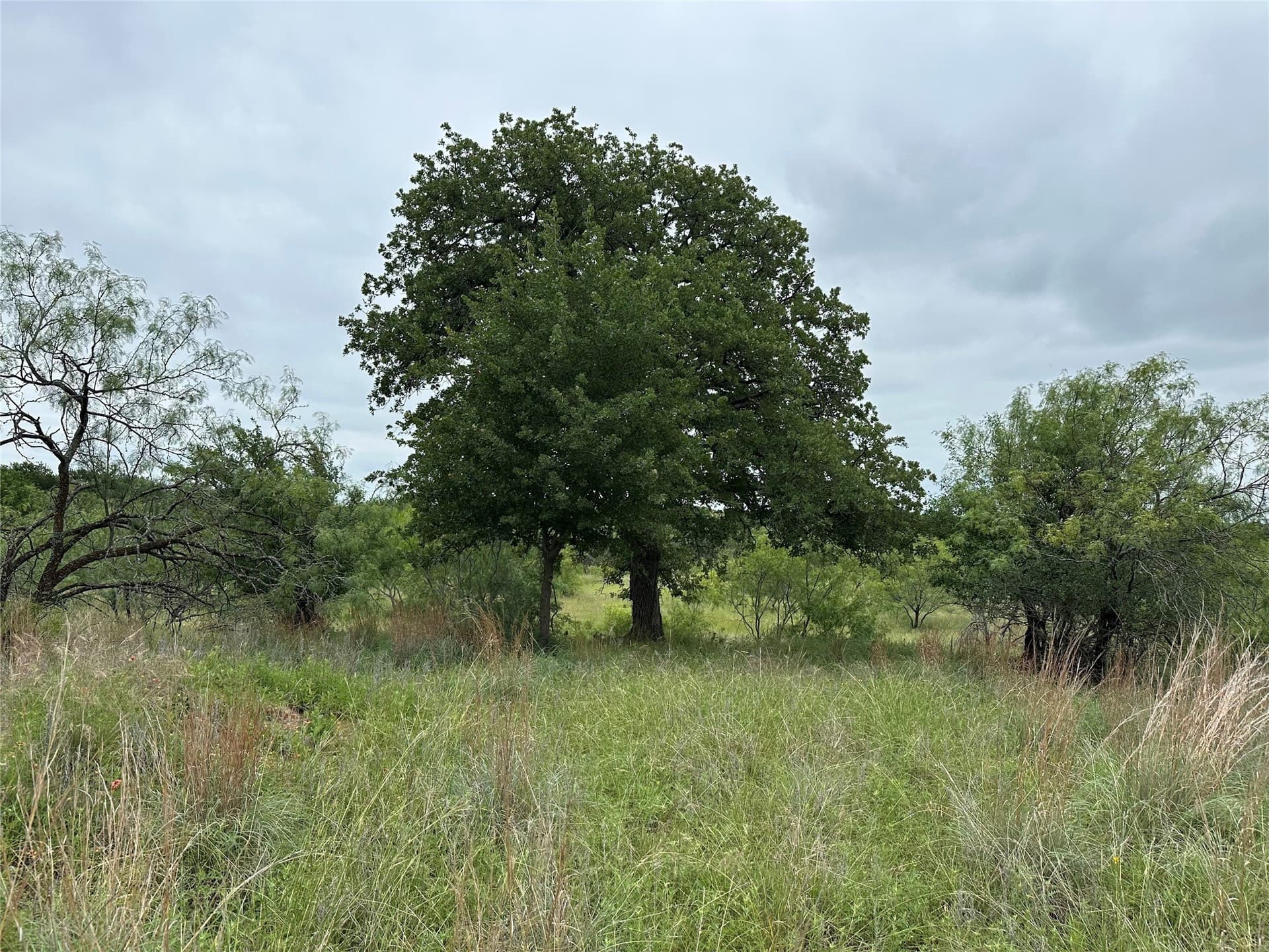 1.34 acres in Wise County - photo 16