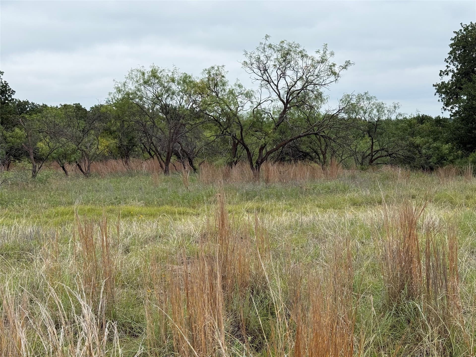1.34 acres in Wise County gallery image 3