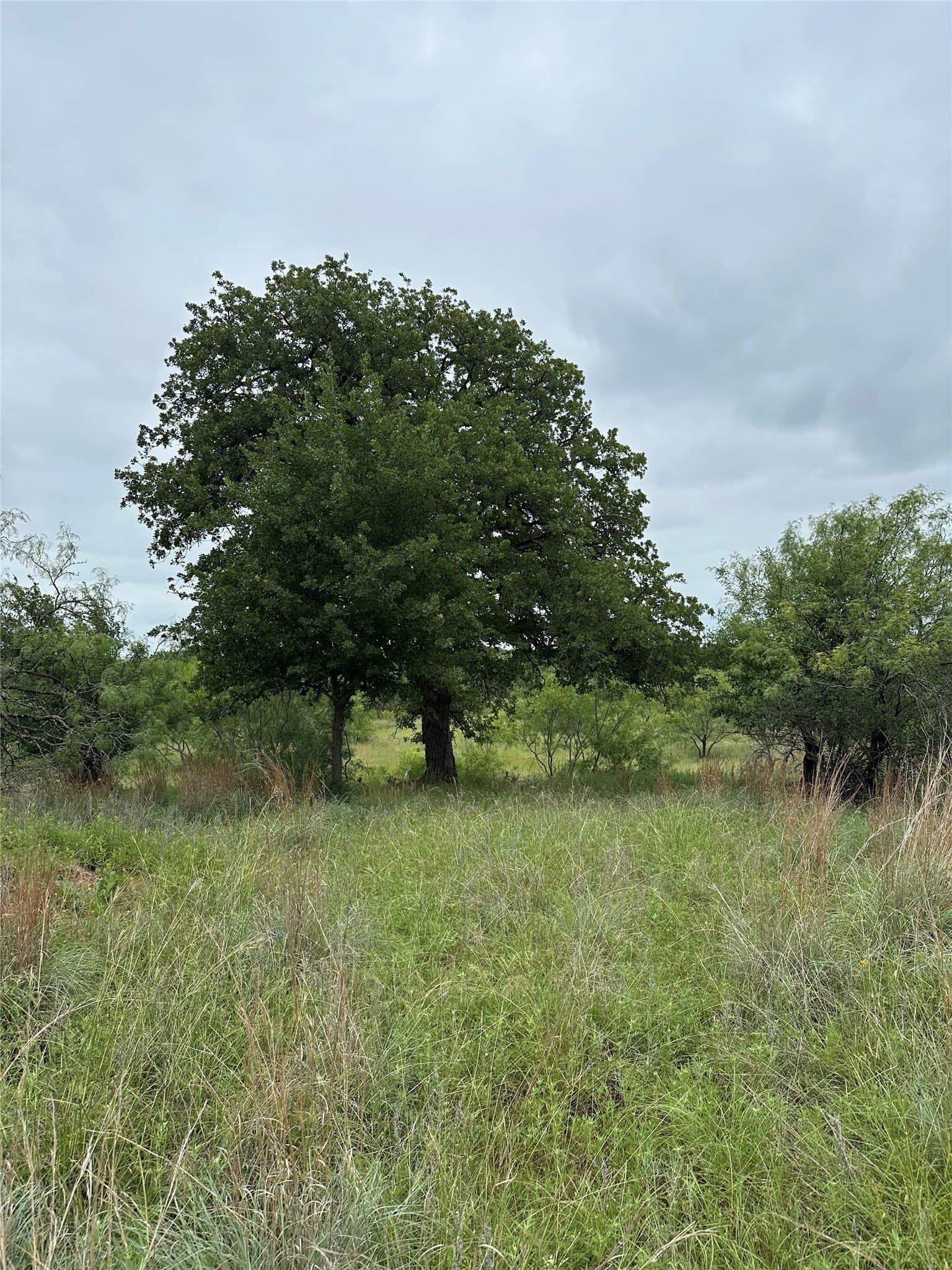 1.34 acres in Wise County - photo 17