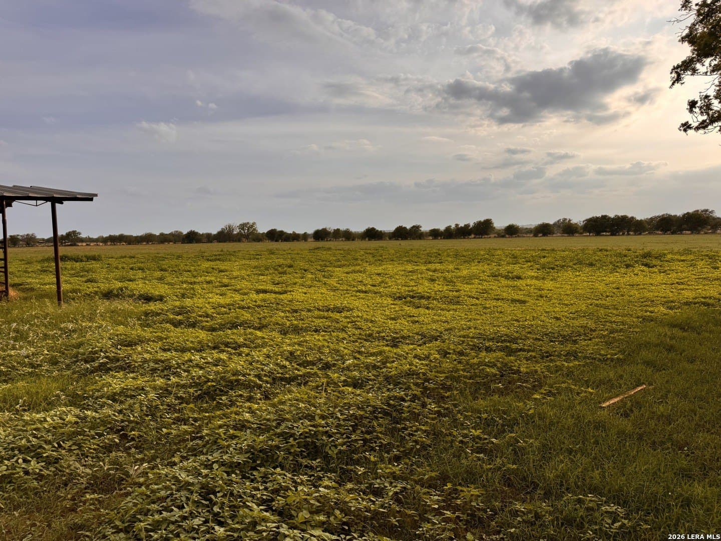 25.81 acres in Medina County - photo 16