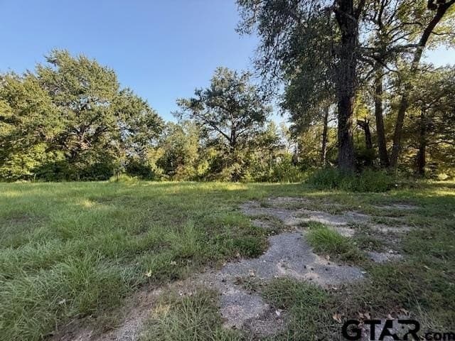3.14 acres in Smith County gallery image 3