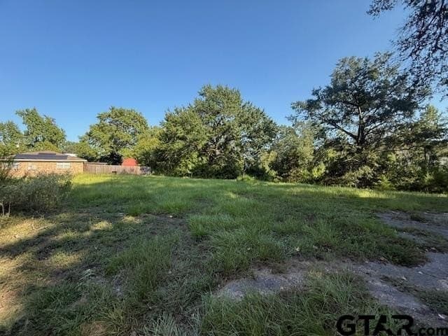 3.14 acres in Smith County gallery image 2