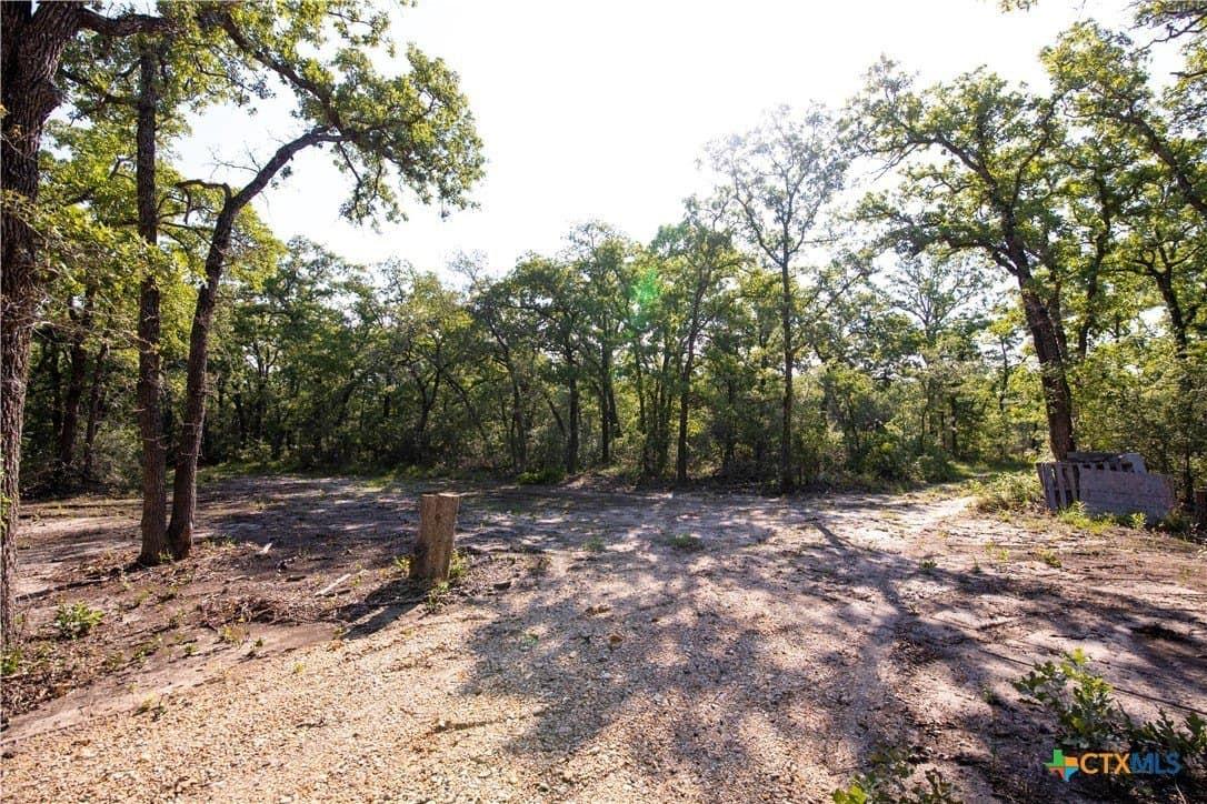 10.01 acres in Milam County featured view