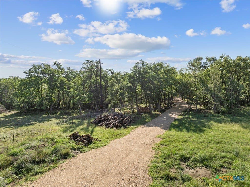 10.01 acres in Milam County gallery image 2