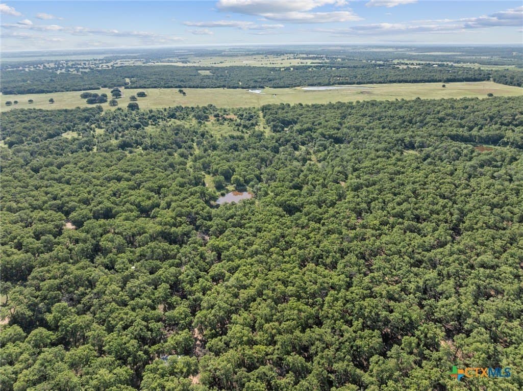 10.01 acres in Milam County gallery image 4