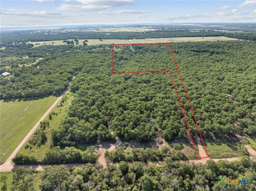 10.01 acres in Milam County gallery image 3