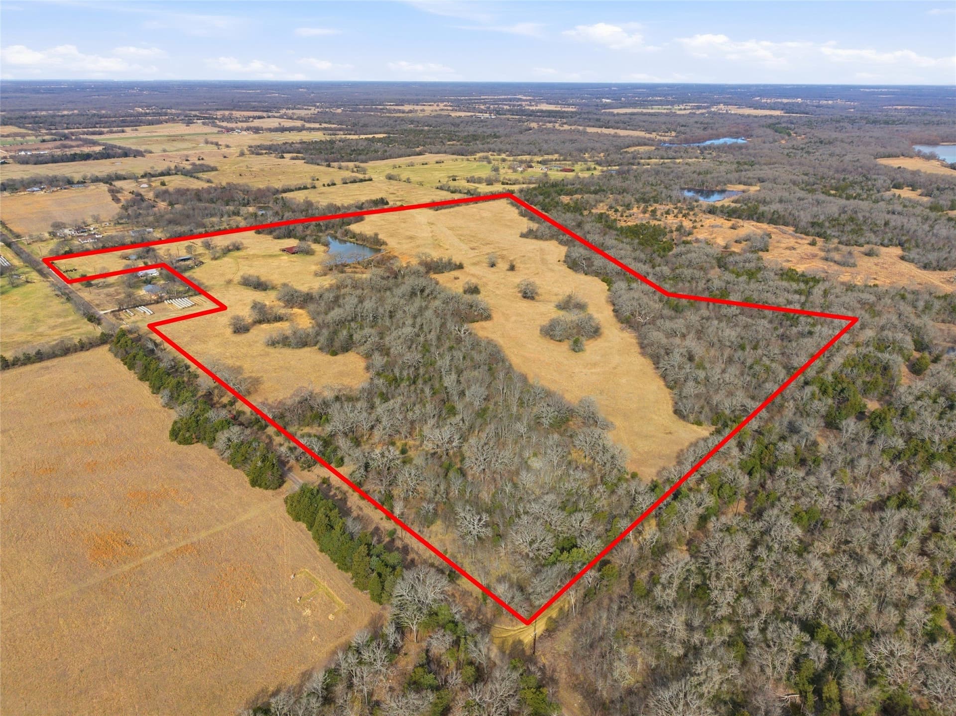72.02 acres in Hopkins County gallery image 3