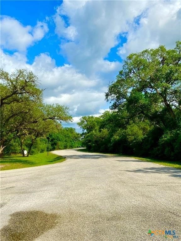 3.73 acres in Victoria County - photo 5