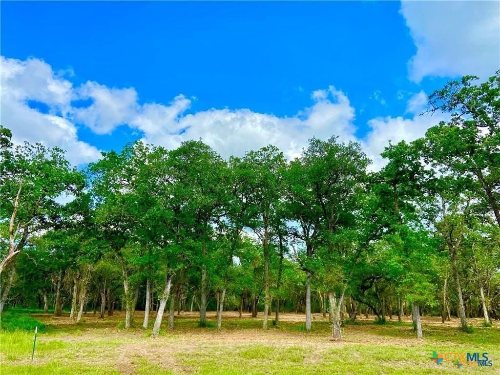 3.73 acres in Victoria County