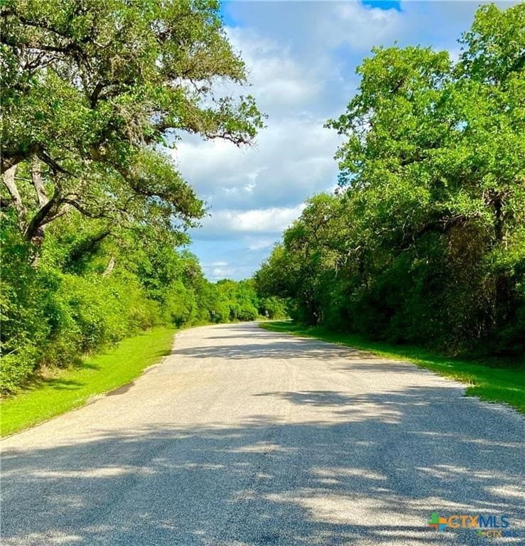 3.73 acres in Victoria County - photo 6