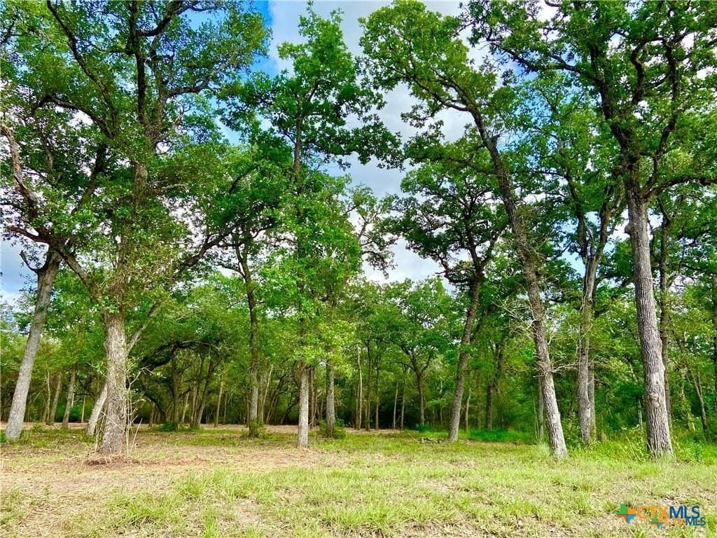 3.73 acres in Victoria County - photo 3