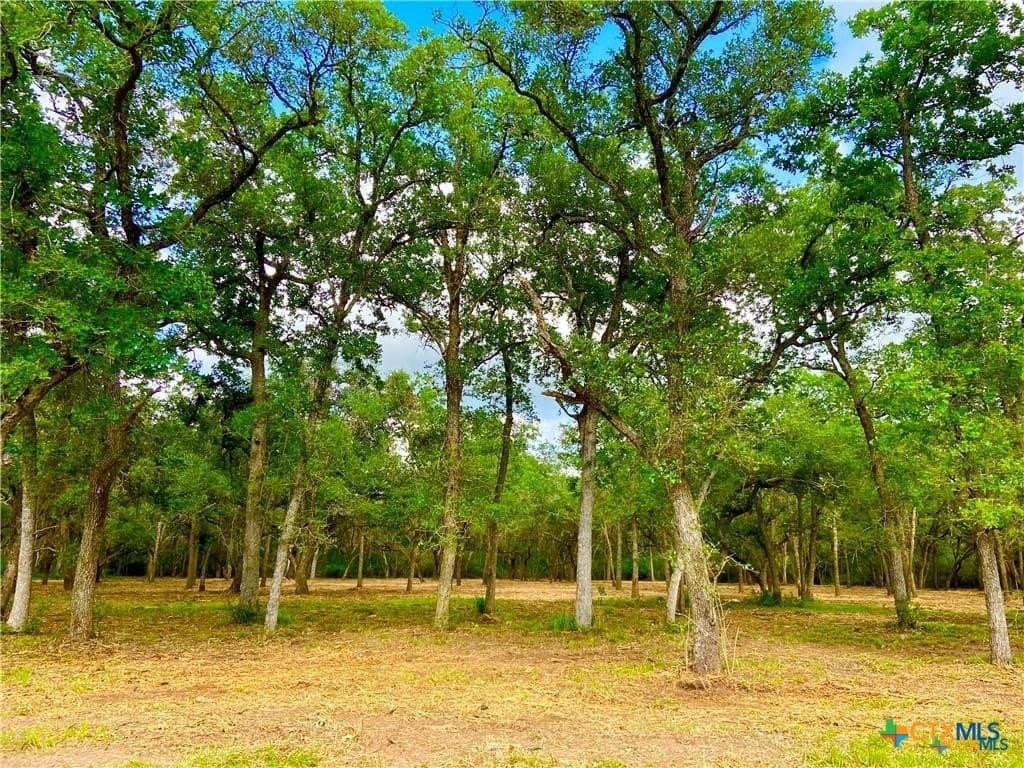 3.73 acres in Victoria County - photo 2