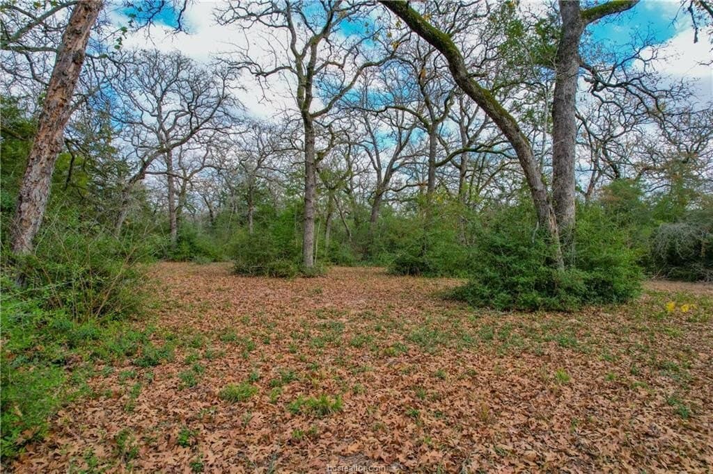 10.15 acres in Milam County gallery image 4