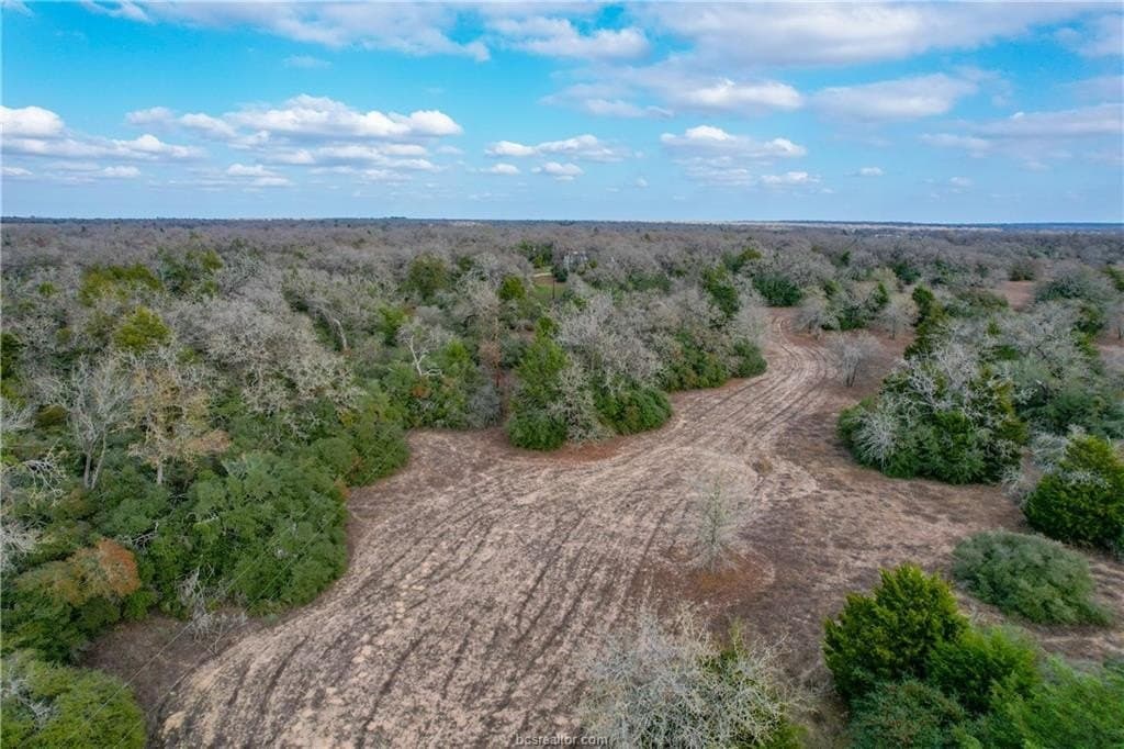 10.15 acres in Milam County gallery image 3