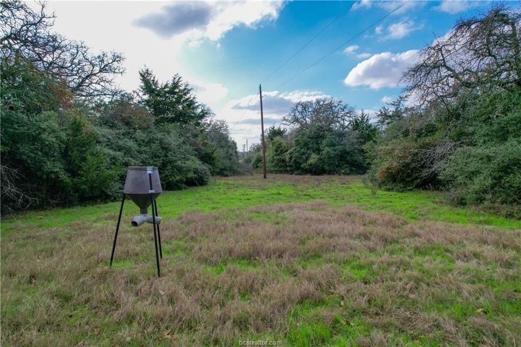 10.15 acres in Milam County featured view