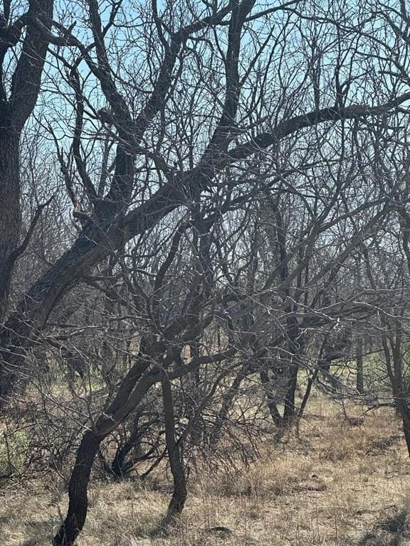 64.52 acres in Jones County featured view