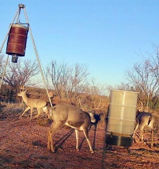 64.52 acres in Jones County