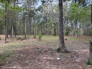19.72 acres in Texas County - photo 2