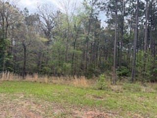 19.72 acres in Texas County - photo 12