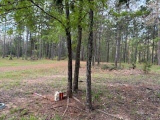 19.72 acres in Texas County - photo 13