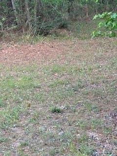 19.72 acres in Texas County - photo 14