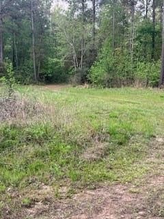 19.72 acres in Texas County - photo 15